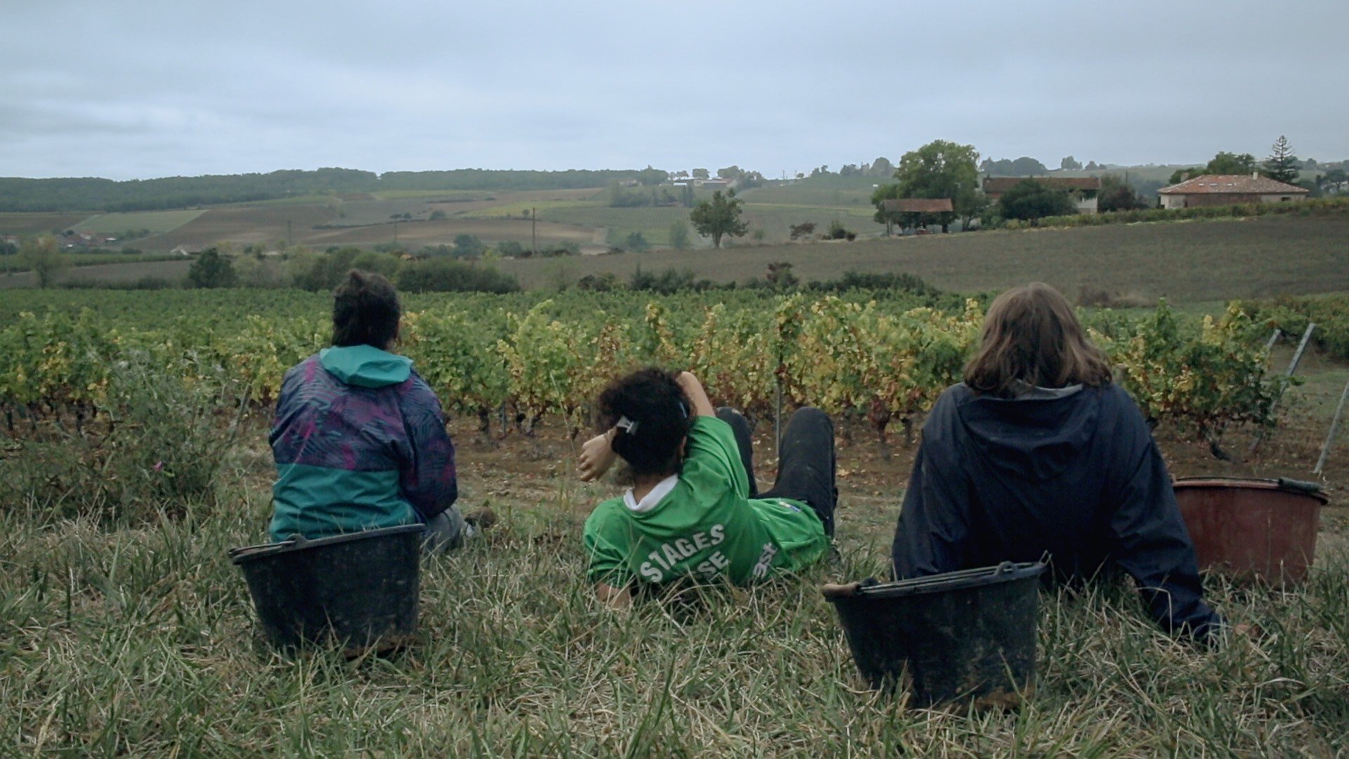 Vendanges